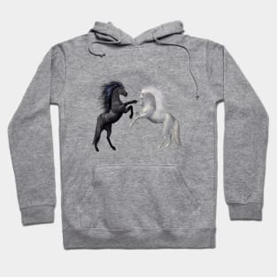 Wild Horses, Stallions Hoodie